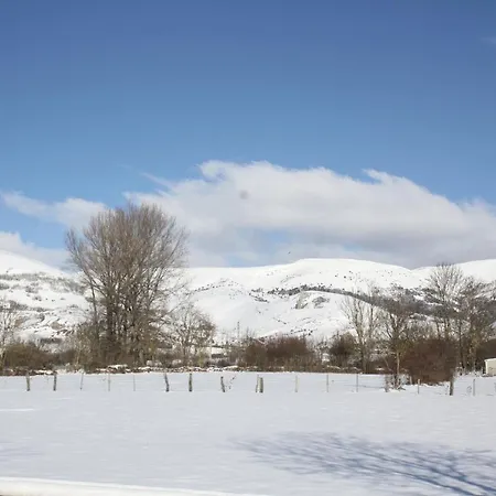 Daire Otero De Campoo *